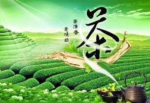 六大茶类与制茶工艺